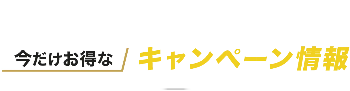 キャンペーン情報