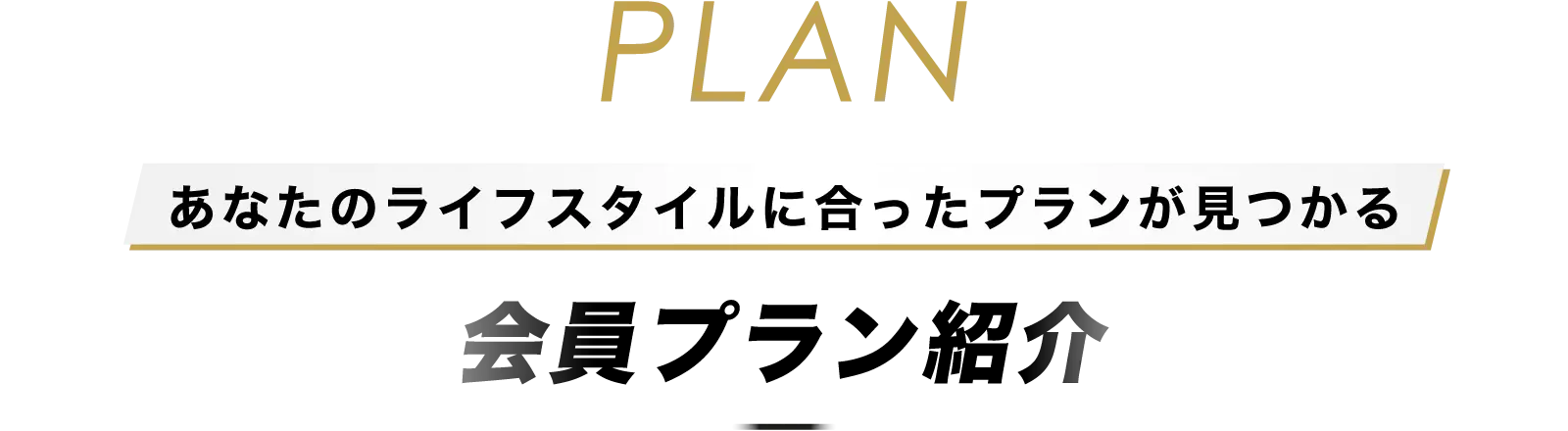 会員プラン紹介
