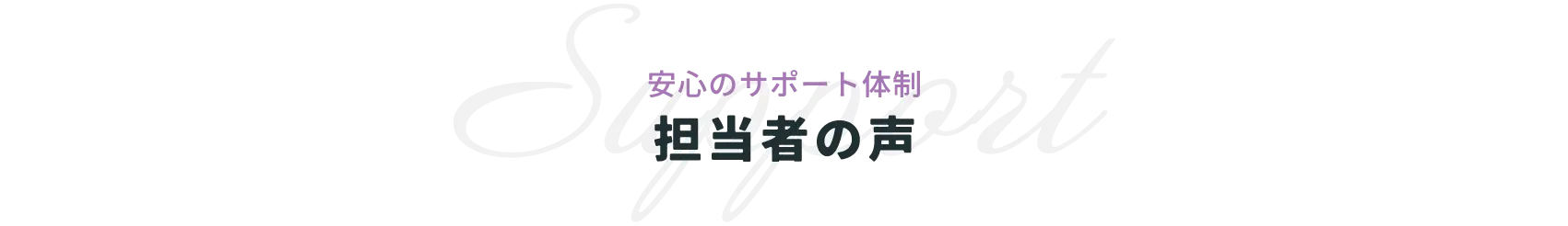 担当者の声