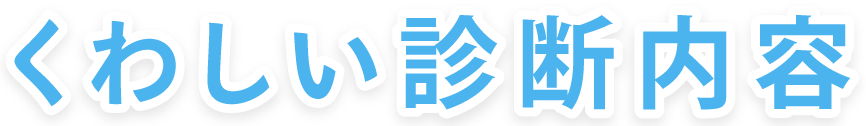 詳しい診断内容